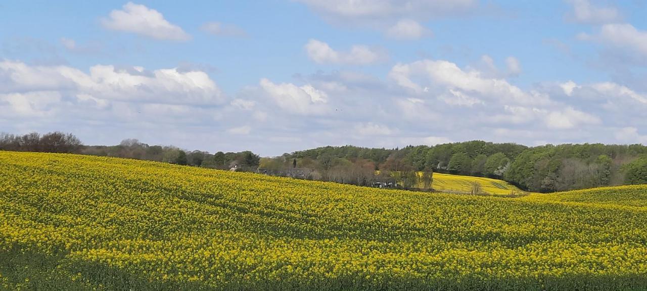 Ferienwohnung Wikingerland Langballig Exteriér fotografie